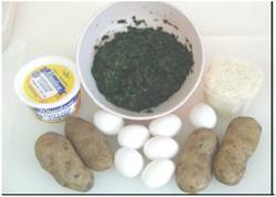 fongos1