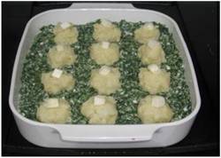 fongos2 fongos2