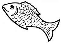pescado