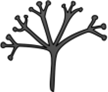 logo_agja_220