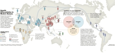 genetica