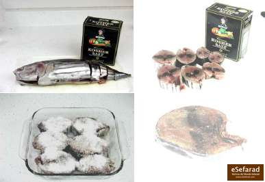 PALAMIDA (salted fish/pescado salado)