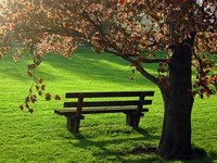 enamorado abandonado