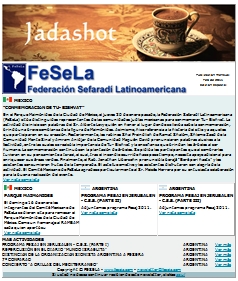 fesela newsletter febrero 2011