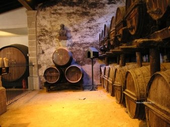 bodega gonzalez byass