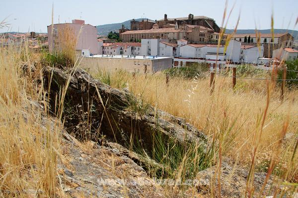 plasencia_01