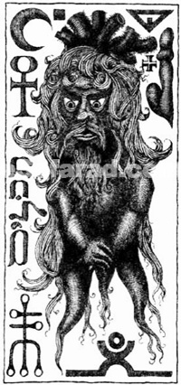 mandragor