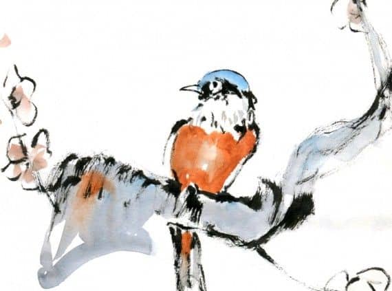 Pájaro ( Miguel Elías)