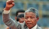 mandela