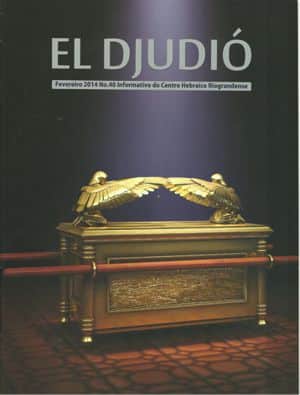 el_djudio_40_febrero2014
