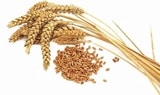pesah_a_shavuot}