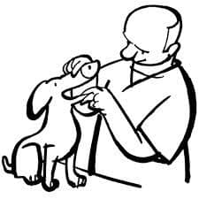 el_doktor_de_animalikos