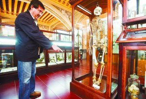 esqueletos_judios_museo_burgos