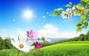 primavera