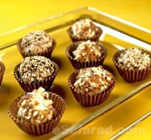 trufas_de_frutos_secos