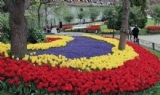 primavera
