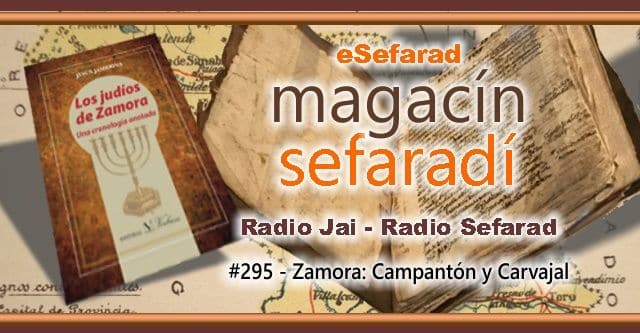 magacine_295