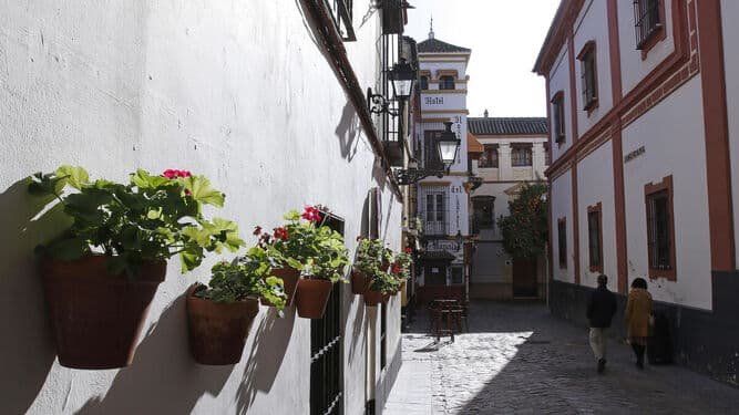 Macetas en la calle Jamerdana, y al fondo, la popular Hostería del Laurel. / JOSÉ ÁNGEL GARCÍA