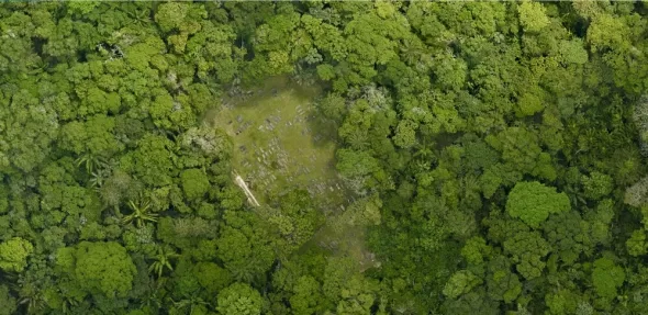 Vista aérea del Cementerio Jodensavanne Beth Haim rodeada de bosque.