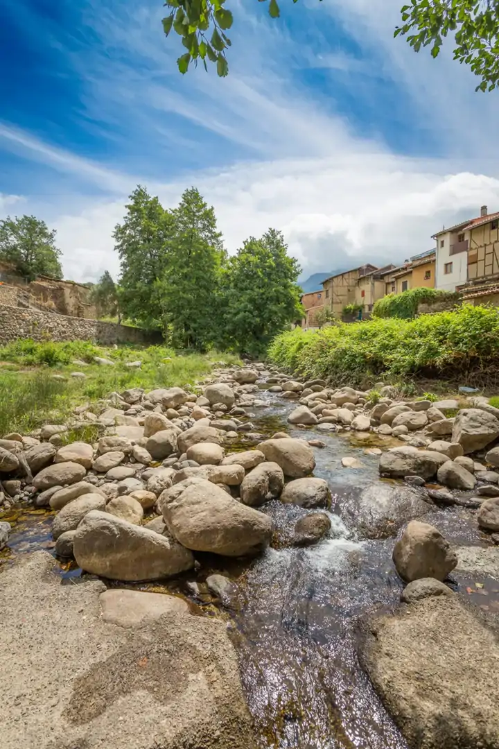 Foto: iStock
