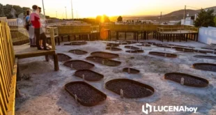 Necropolis judía de Lucena. Foto: Turismo de Lucena