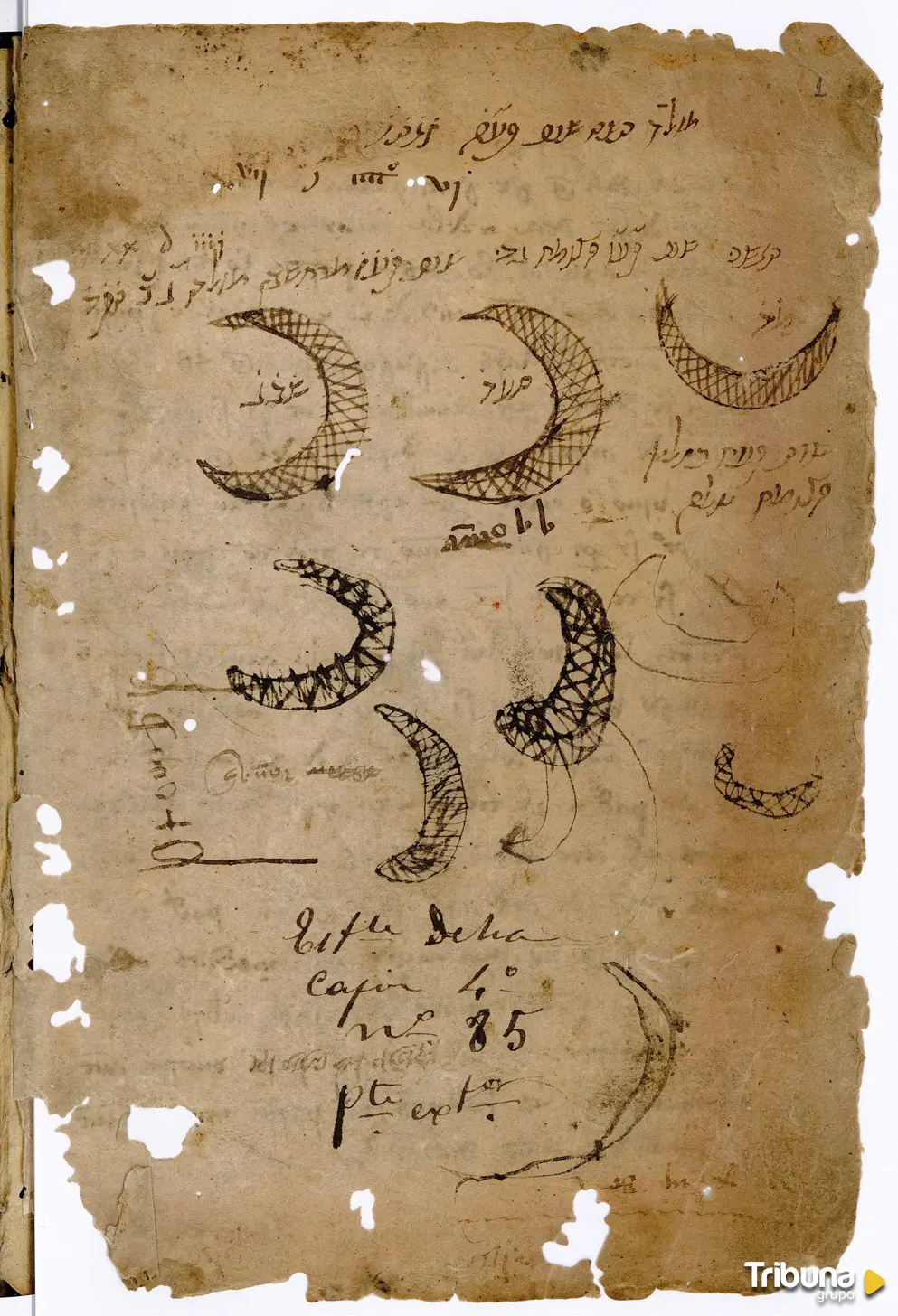 Documento con neomenías que se utilizó en la encuadernación de un manuscrito.