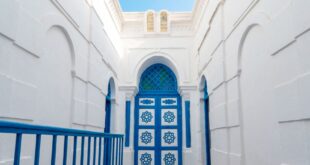 Esta jornada, coordinada por las universidades de Cádiz y Hassan II de Casablanca, reunirá el 16 de octubre a expertos de España, Marruecos, Túnez, Francia y Bélgica en el edificio Constitución 1812
